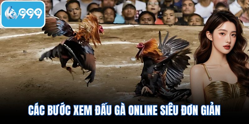 Các bước xem đấu gà online siêu đơn giản