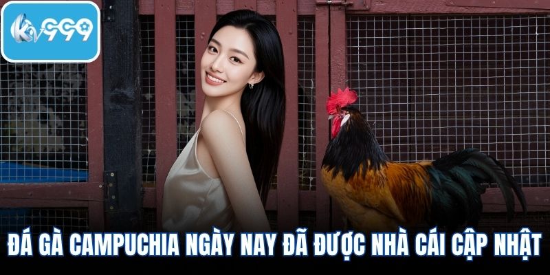 Đá gà Campuchia ngày nay đã được nhà cái cập nhật