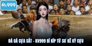 Đá gà cựa sắt