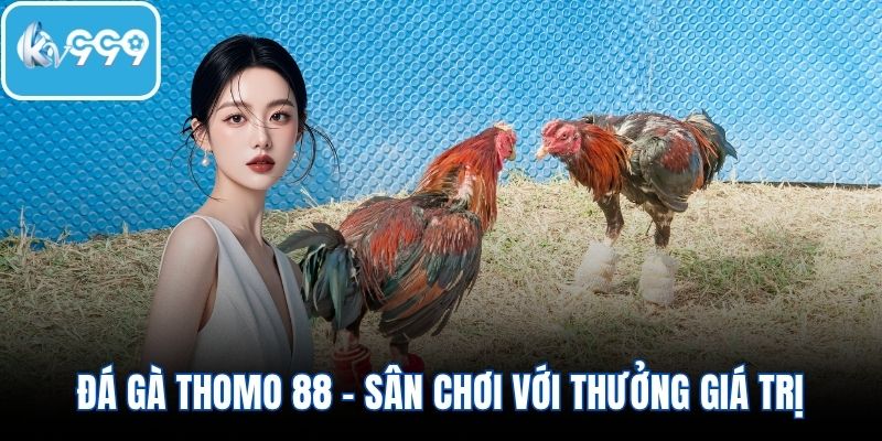 Đá gà Thomo 88 - Sân chơi chuyên nghiệp với thưởng giá trị