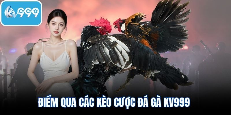 Điểm qua các kèo cược đá gà KV999 tân binh cần nắm