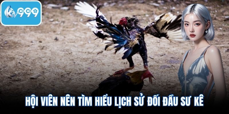 Hội viên nên tìm hiểu lịch sử đối đầu sư kê