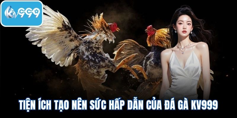 Tiện ích khác biệt tạo nên sức hấp dẫn của đá gà KV999