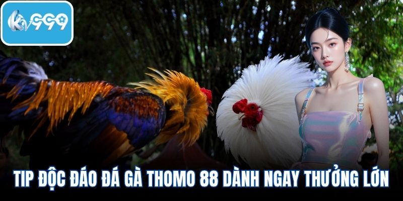 Tip độc đáo đá gà Thomo 88 dành ngay thưởng lớn