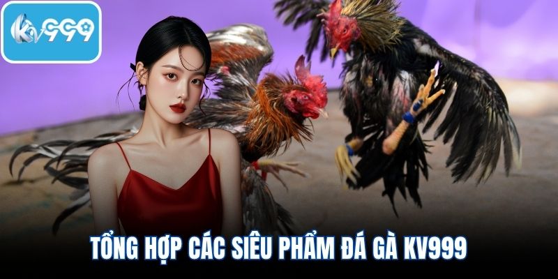 Tổng hợp các siêu phẩm đá gà KV999 đáng tham gia nhất