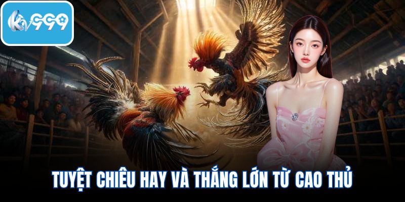 Tuyệt chiêu hay và thắng lớn từ cao thủ nên vận dụng ngay