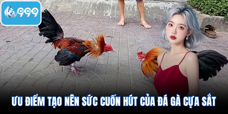 Ưu điểm khác biệt tạo nên sức cuốn hút của đá gà cựa sắt